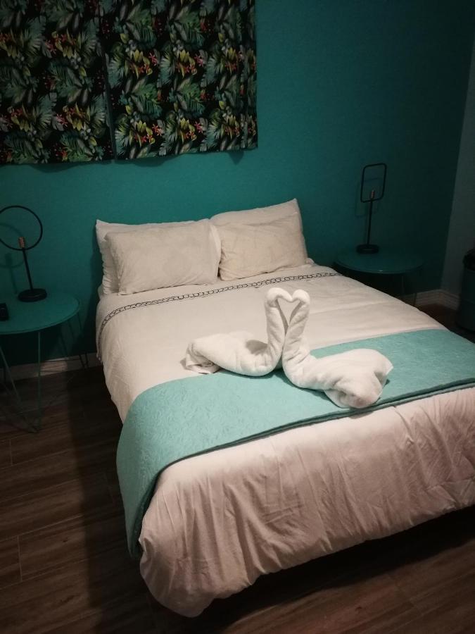 Nativus Art-Hostel サンホセ エクステリア 写真