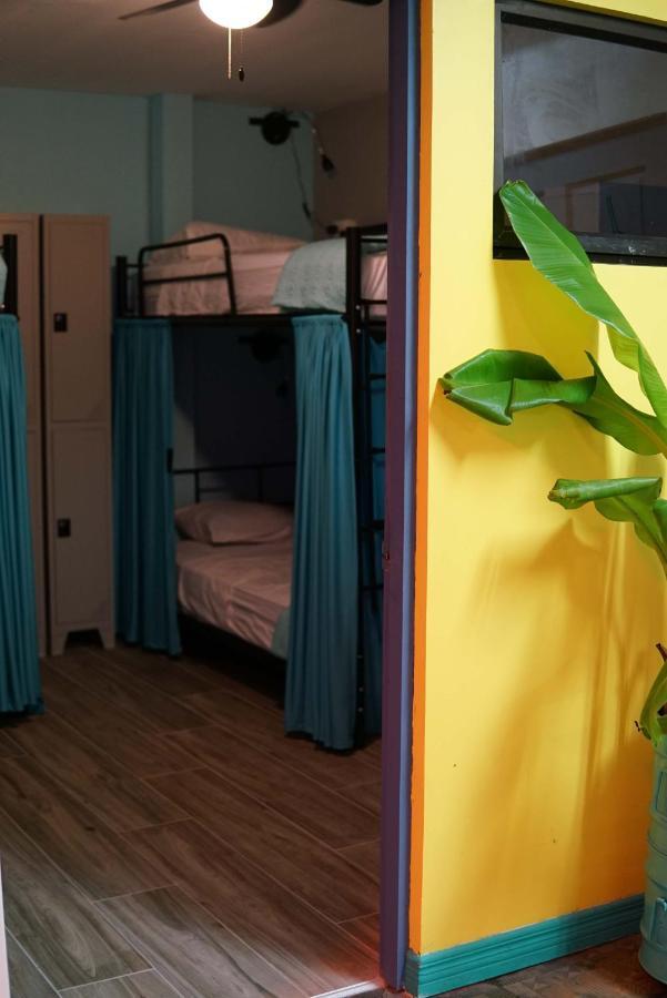 Nativus Art-Hostel サンホセ エクステリア 写真